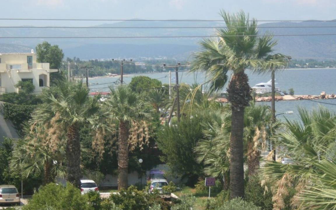 Photo of Others in Nea Makri