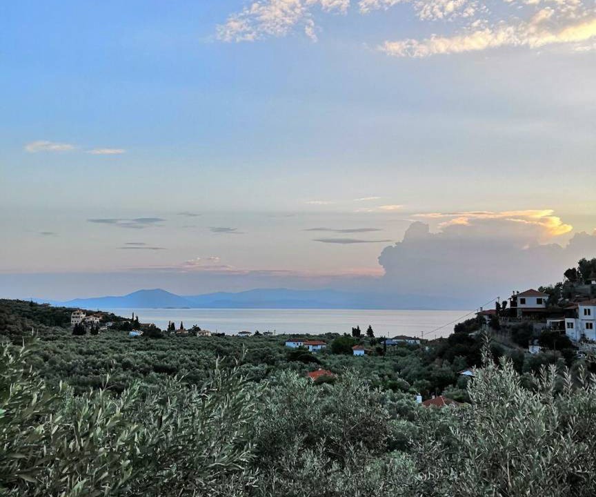 Photo of Others in Afissos
