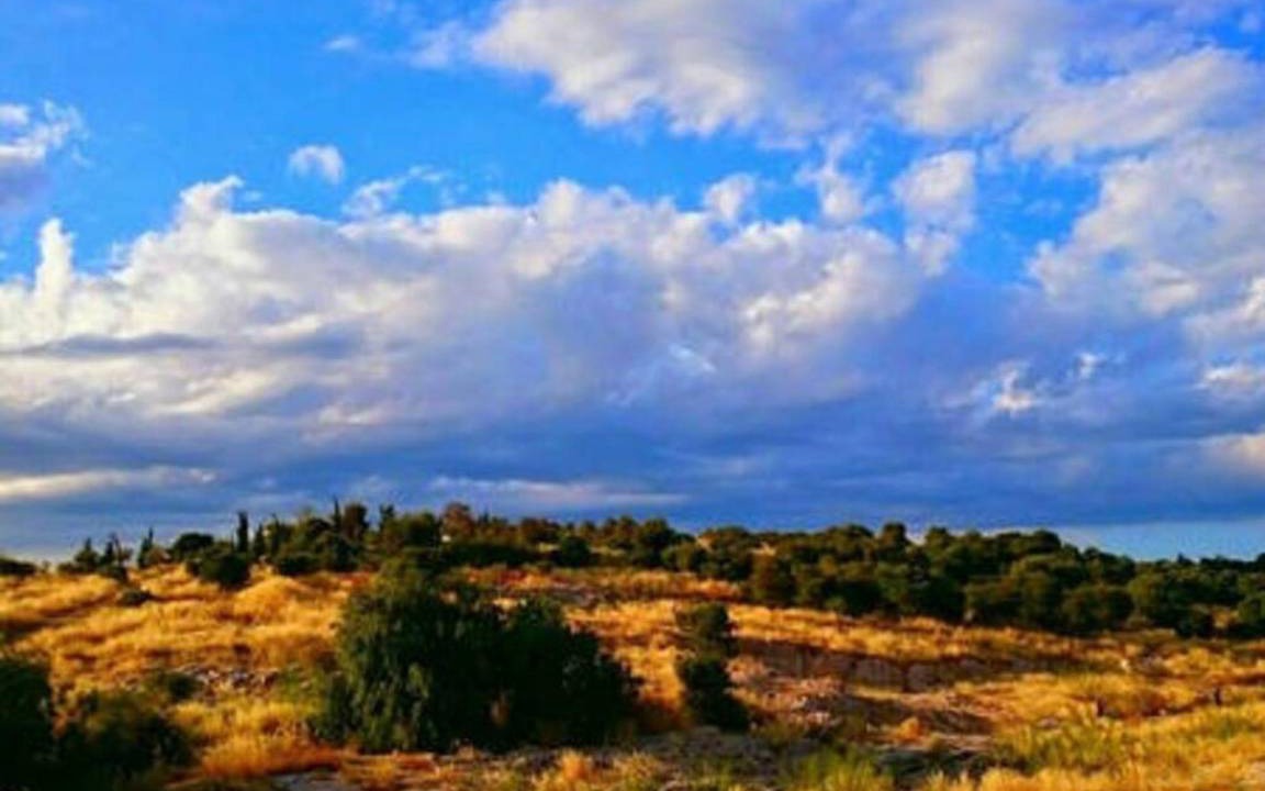 Photo of Others in Petralona