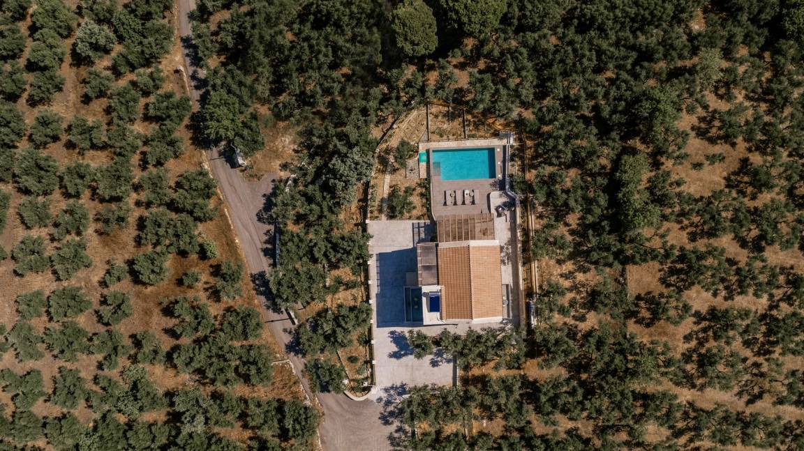 Photo of Others in Vasilikos