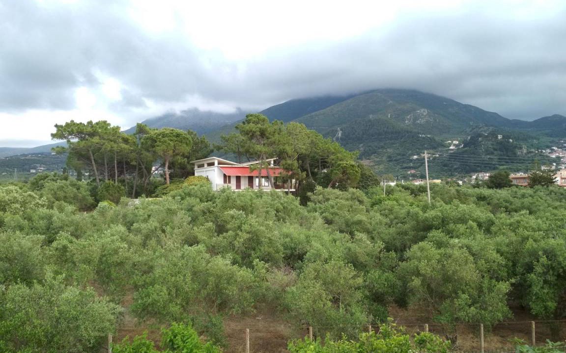 Photo of Others in Kiparissia
