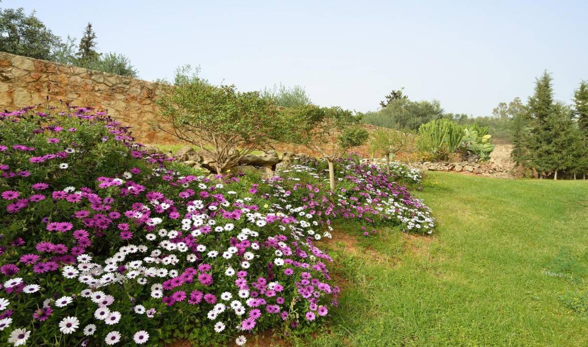 Photo of Others in Souda
