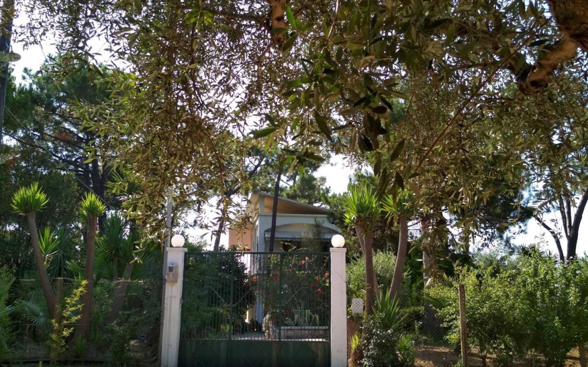 Photo of Others in Kiparissia