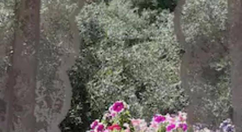 Photo of Others in Agia Pelagia Chlomou