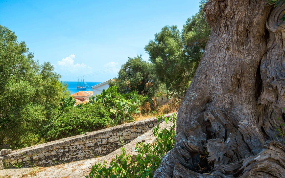 Photo of Others in Gaios