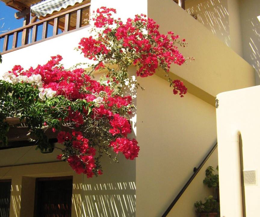 Photo of Buildings in Sivas