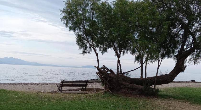 Photo of Others in Nea Makri