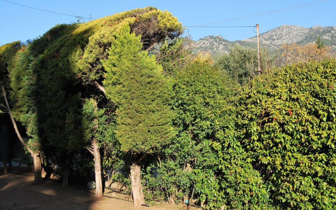 Photo of Others in Nea Makri