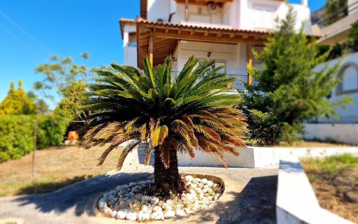 Photo of Others in Porto Rafti