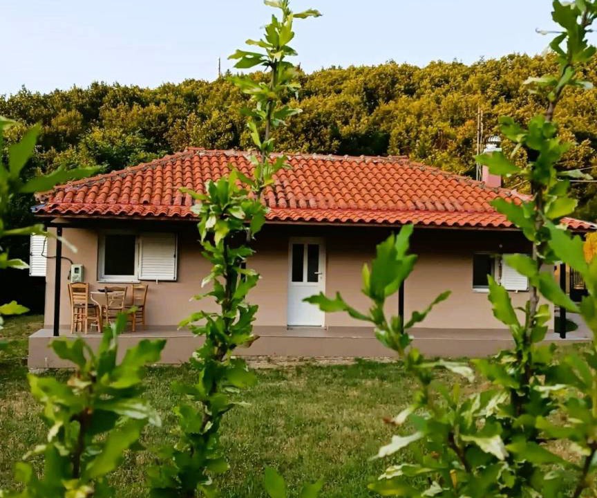 Photo of Others in Vlachava