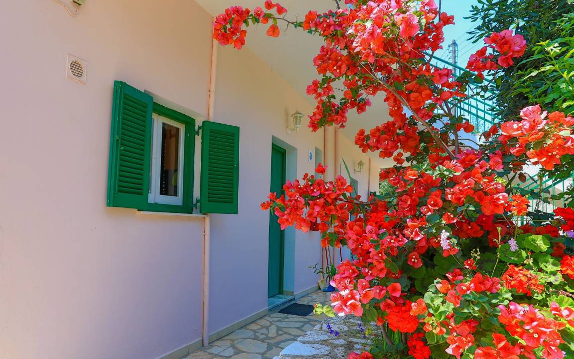 Photo of Others in Agios Spyridon Corfu