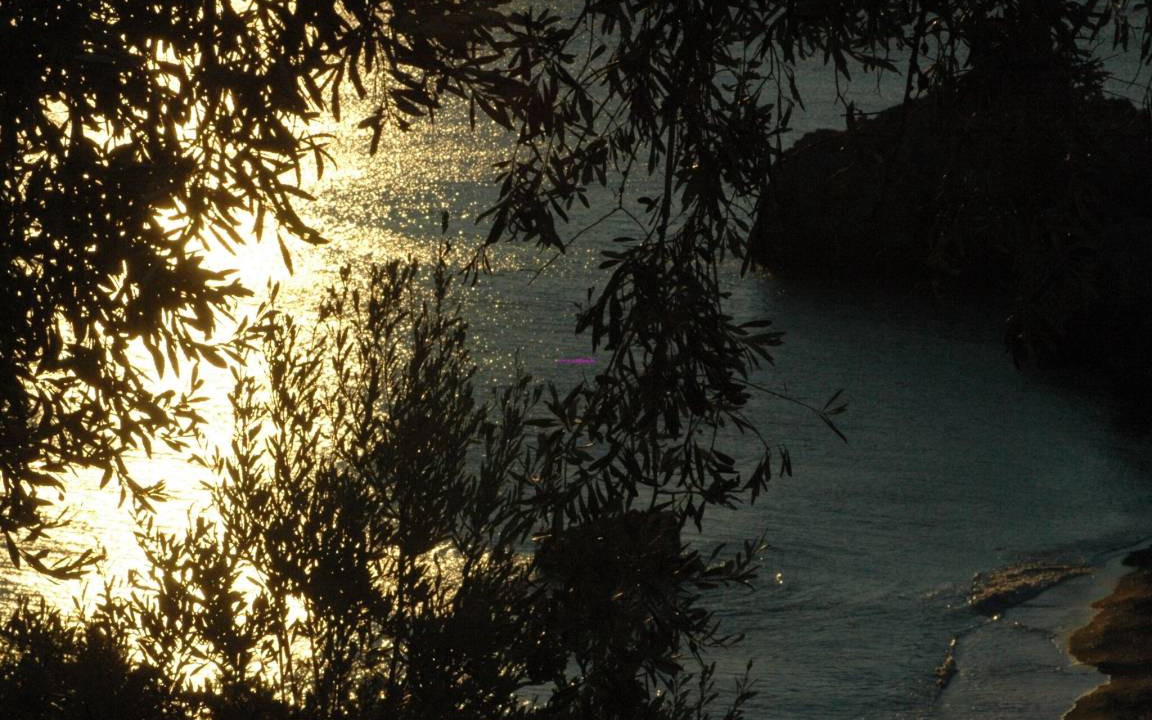 Photo of Others in Kato Vrontou