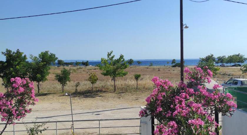 Photo of Others in Psakoudia