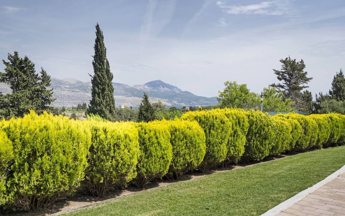 Photo of Outdoor in Parisata