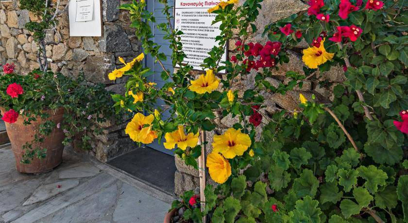 Photo of Others in Mykonos