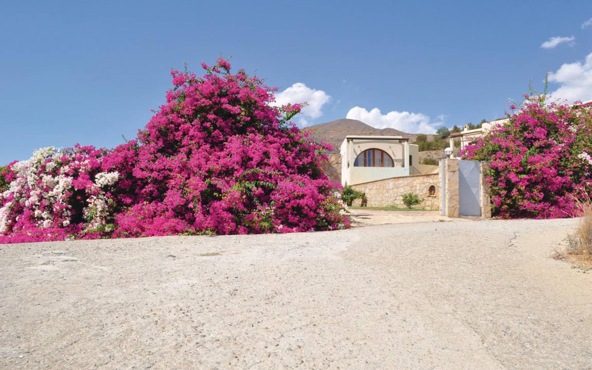 Photo of Others in Agia Galini