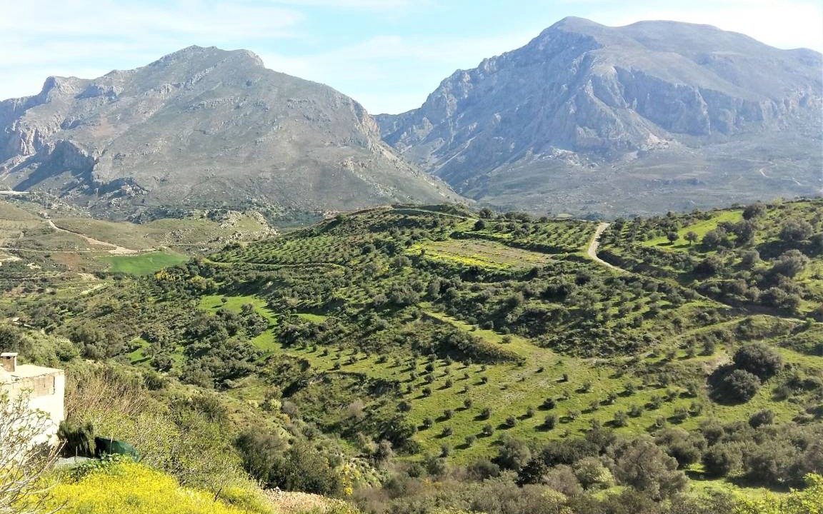 Photo of Others in Yianniou
