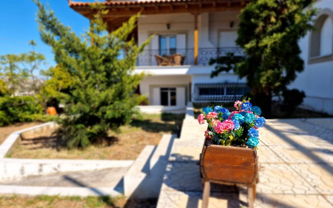 Photo of Others in Porto Rafti