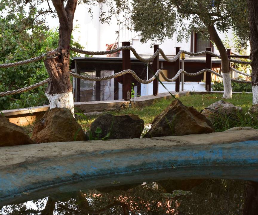 Photo of Others in Kato Vrontou