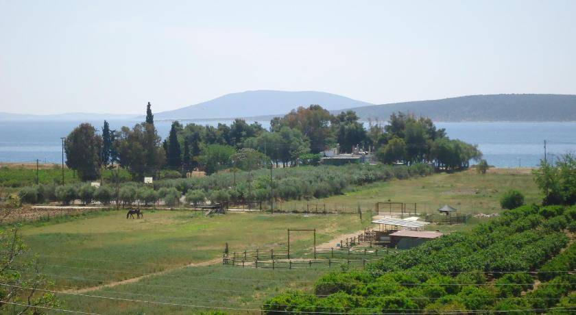 Photo of Others in Drepano