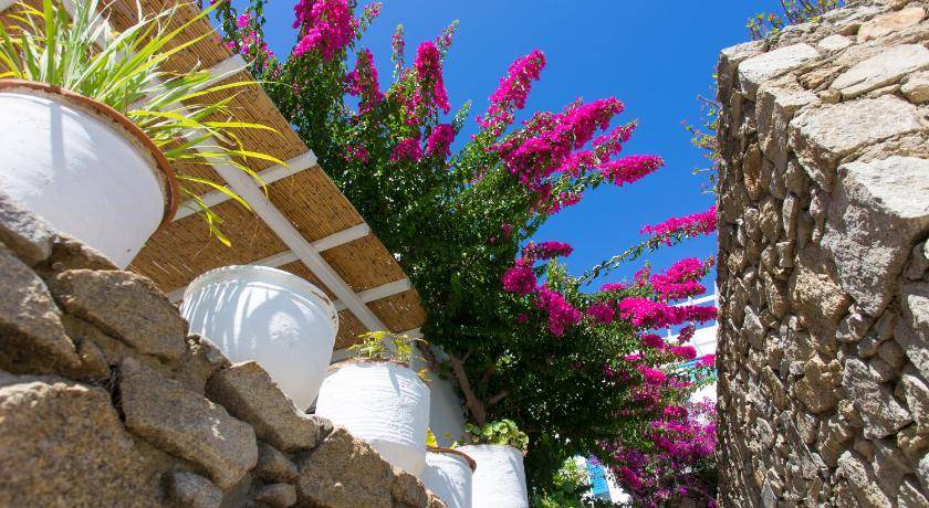 Photo of Others in Mykonos