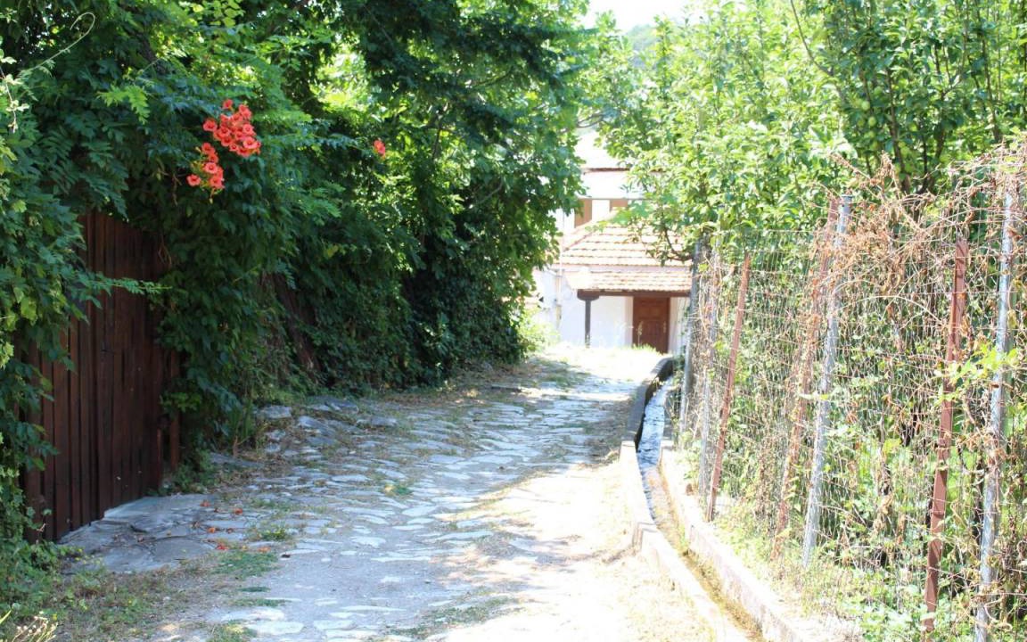 Photo of Others in South Pelion
