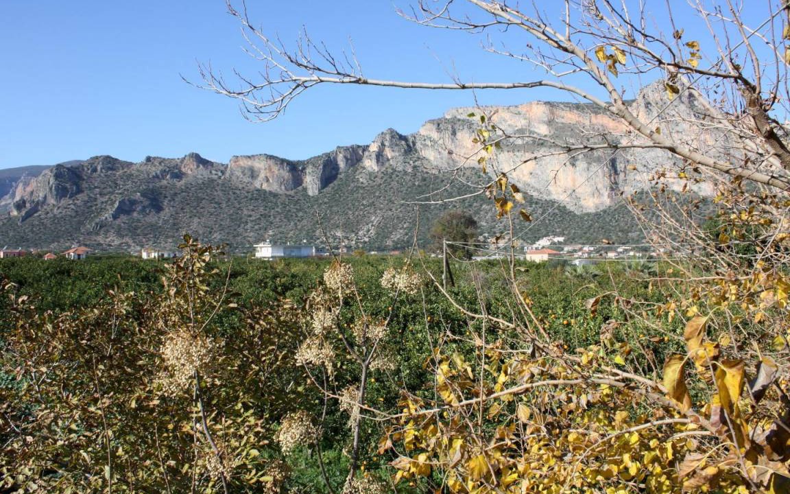 Photo of Others in Leonidio