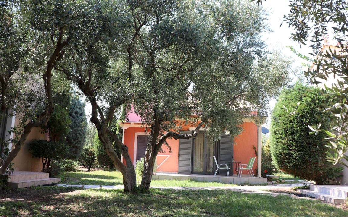 Photo of Others in Plepi