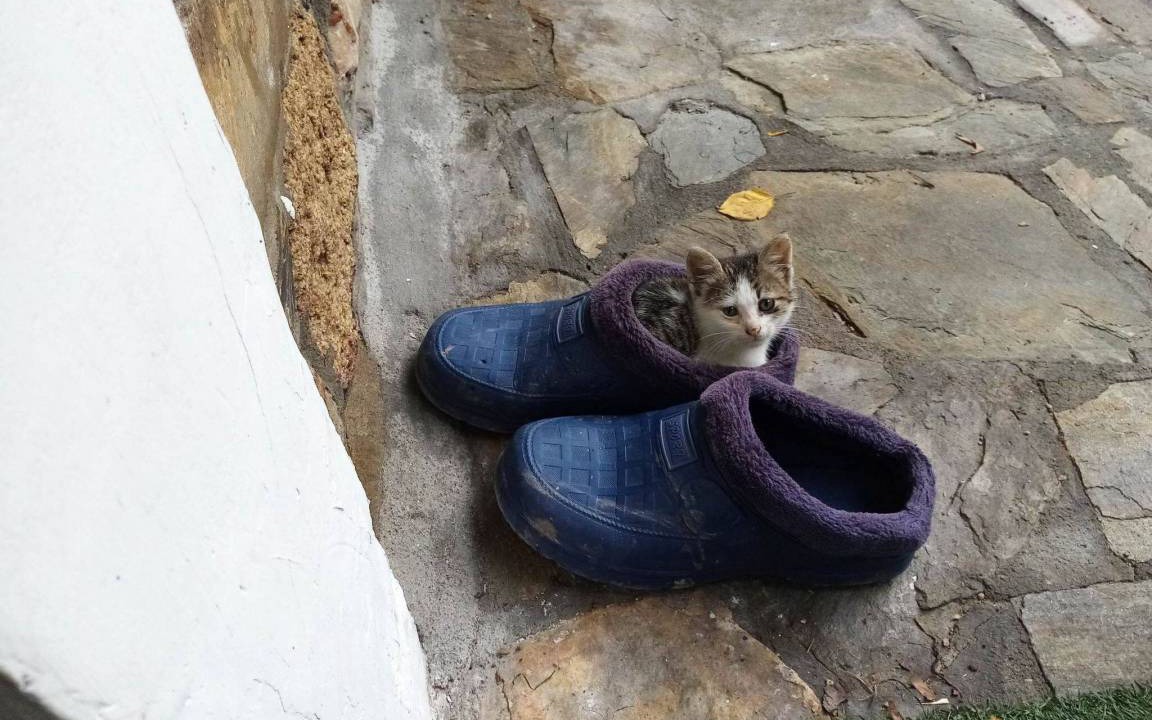 Photo of Others in Agios Nikolaos