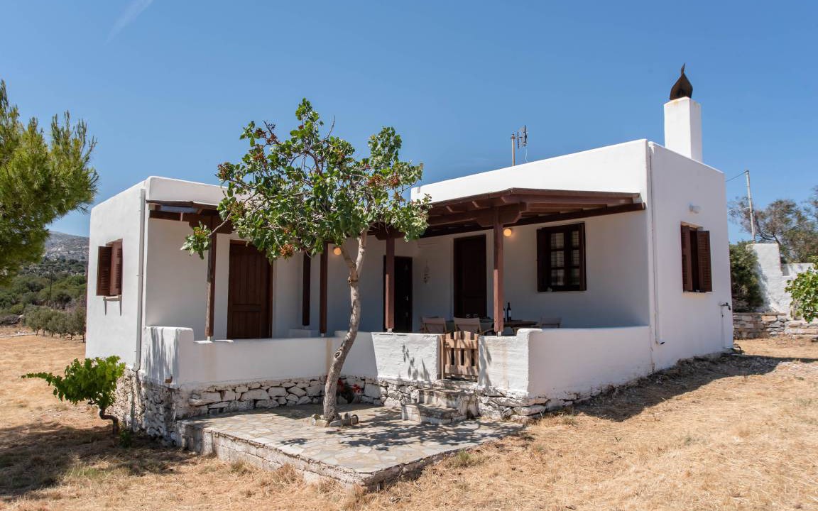 Photo of Others in Naxos