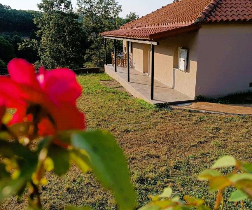 Photo of Others in Vlachava