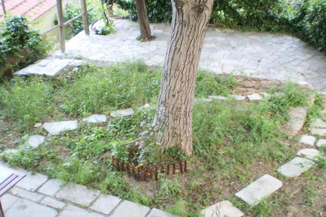 Photo of Others in South Pelion