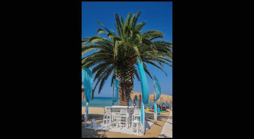 Photo of Others in Skala Sotiros