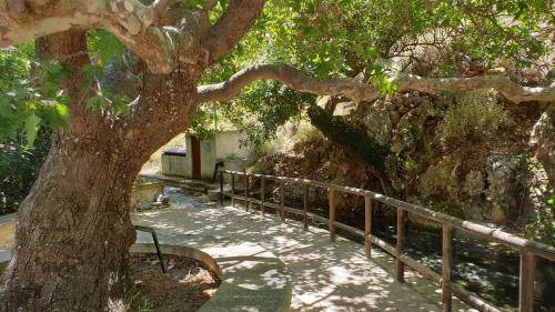 Photo of Others in Kato Zakros