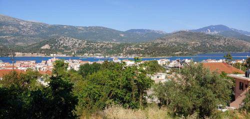 Photo of Others in Argostoli Town