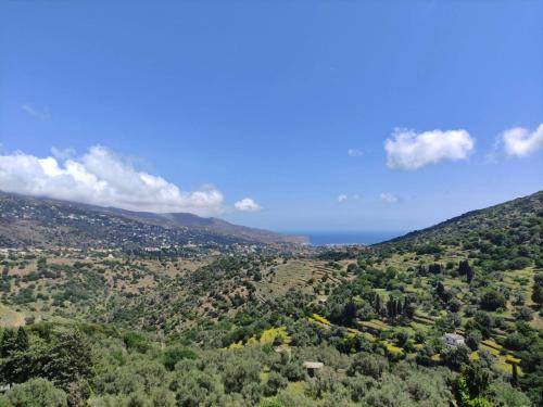 Photo of Others in Andros Town