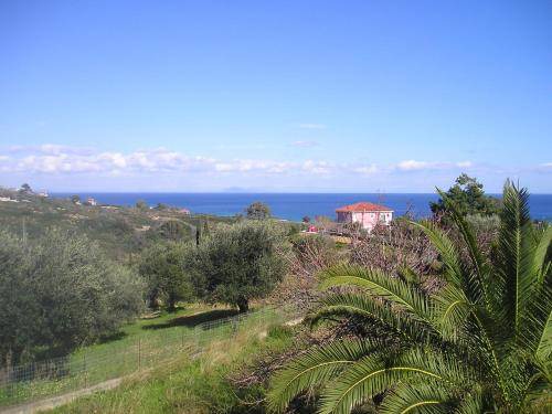 Photo of Others in Skala