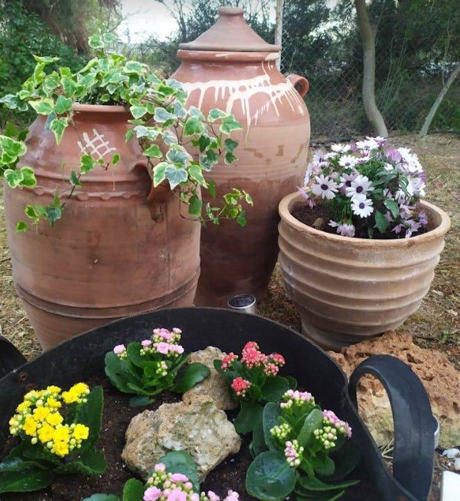 Photo of Others in Spata-Artemida