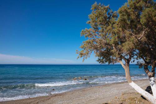 Photo of Others in Agios Vasileios