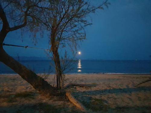 Photo of Others in Nea Makri