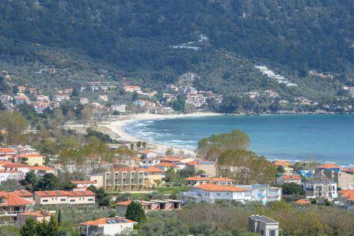 Photo of Others in Skala Potamias