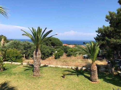 Photo of Outdoor in Skala