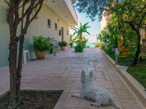 Photo of Others in Preveza