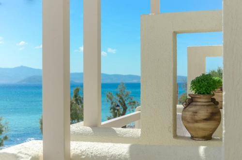 Photo of Others in Agia Anna