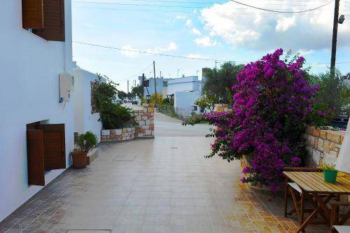Photo of Others in Adamas