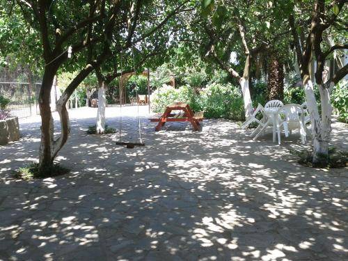 Photo of Others in Preveza