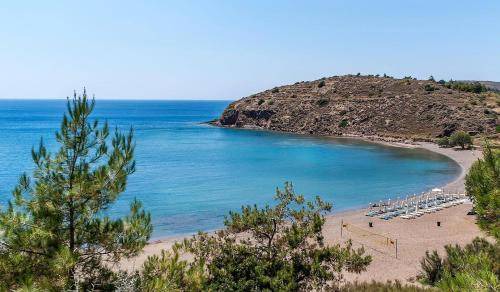 Photo of Others in Volissos