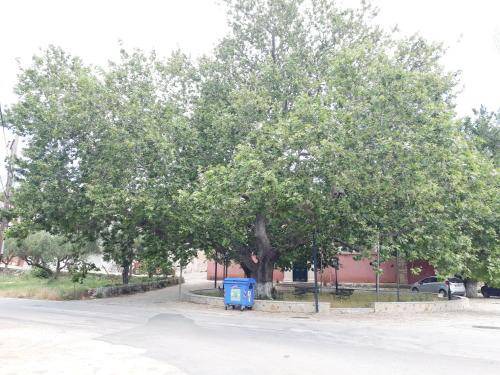 Photo of Outdoor in Maries