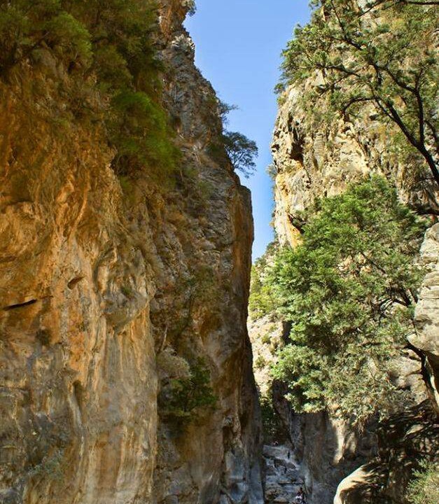 Photo of Others in Yianniou