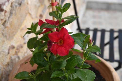 Photo of Others in Plaka